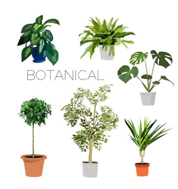 vector plant collection clipart