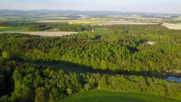 Красивые луга и леса, сделанные дронами — стоковое видео