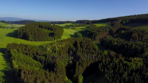 Beautiful meadows and woods made by drones — Stock Video