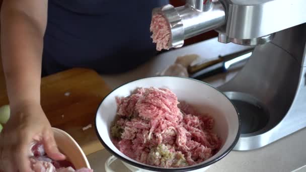 Άλεση του χοιρινού κρέατος — Αρχείο Βίντεο