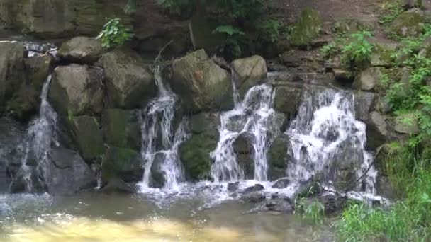 Slow Motion Take Small Waterfall Woods — Stock Video