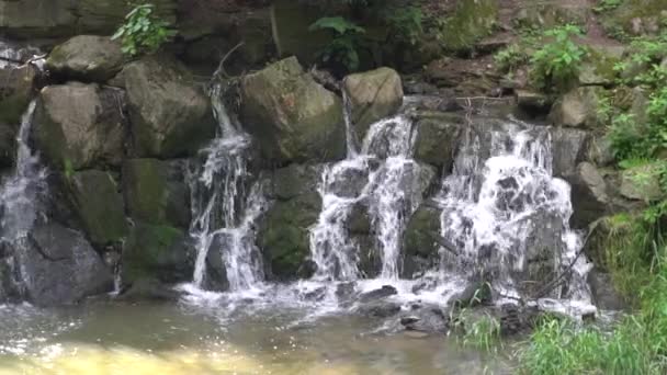 Slow Motion Take Small Waterfall Woods — Stock Video