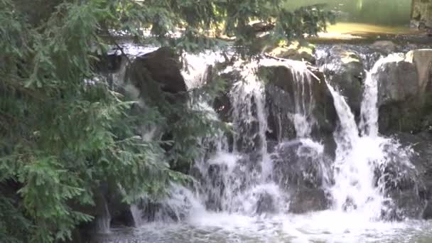 Mouvement lent : Prendre une petite cascade dans les bois .