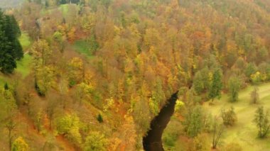 aerial shot of beautifully autumn forest