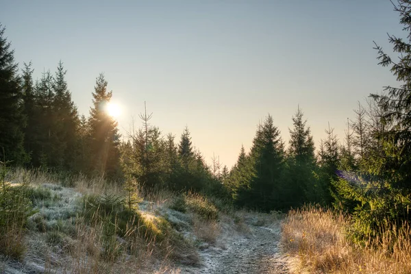 Bevroren landschap in de herfst en de opkomende zon — Stockfoto