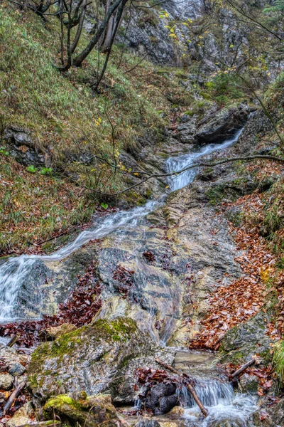 Creek in autumn with fallen leafim around — Stock Photo, Image