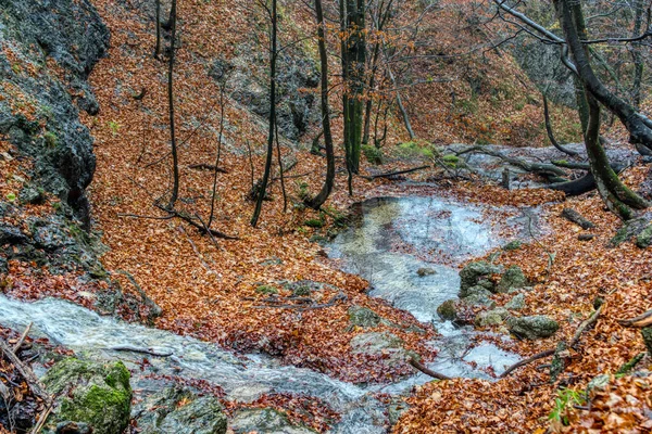 Creek in autumn with fallen leafim around — 스톡 사진