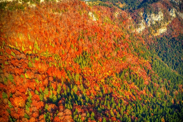 Fotografia aérea de floresta lindamente iluminada em montanhas em cores vermelhas do outono, Eslováquia Mala Fatra — Fotografia de Stock
