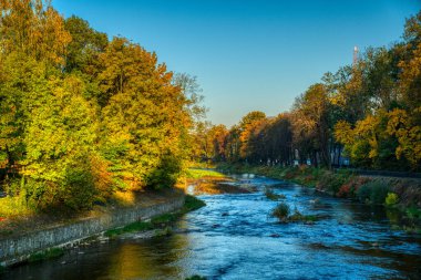Şehirdeki nehrin etrafındaki sonbahar renkli ağaçlar