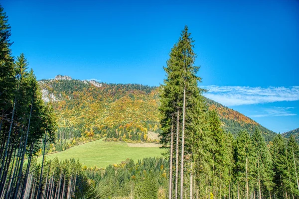 Mountains and hills with trees colored in autumn colors, Slovakia Mala Fatra