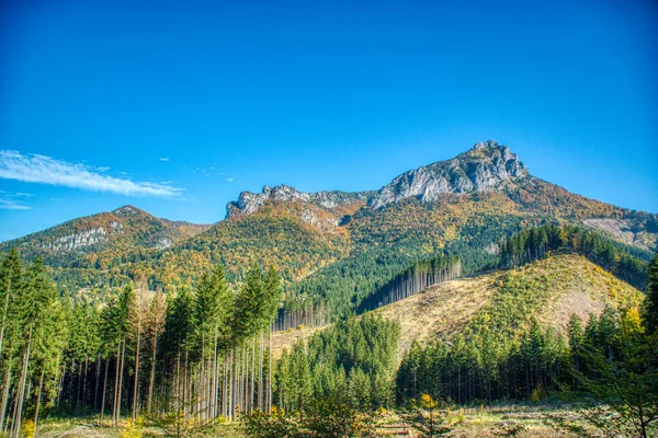 Montagnes et collines avec des arbres colorés en couleurs d'automne, Slovaquie Mala Fatra — Photo