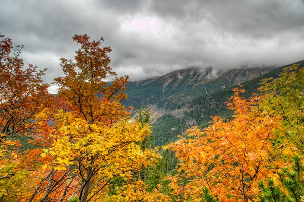 Des montagnes Tatra magnifiquement nuageuses aux couleurs automnales — Photo