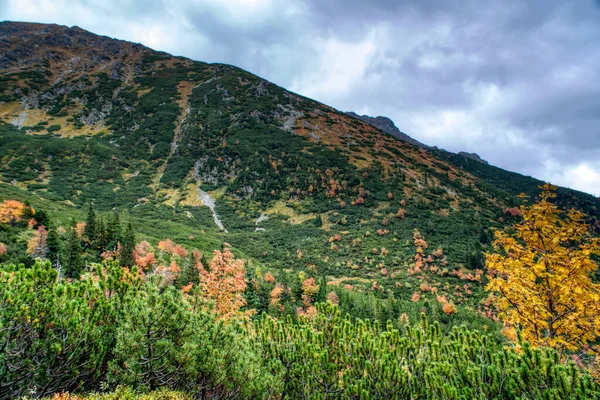 Надзвичайно хмарні гори Татр осінніми кольорами. — стокове фото