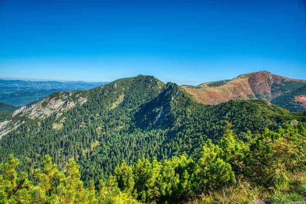 Beautiful mountain trek range in the mountains summer on a small road between Zilina and Velky Krivan, — Stock Photo, Image