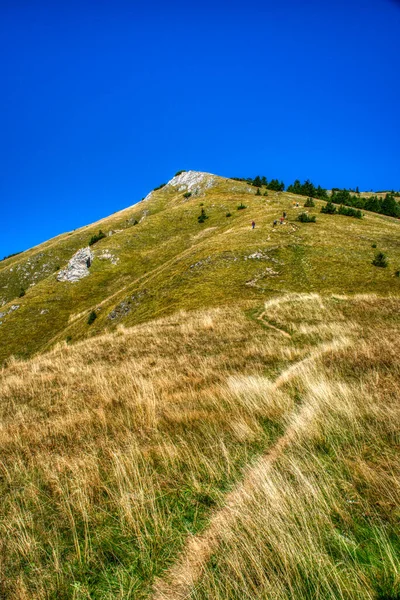 Hermosa cordillera de montaña en las montañas verano en una pequeña carretera entre Zilina y Velky Krivan , — Foto de Stock