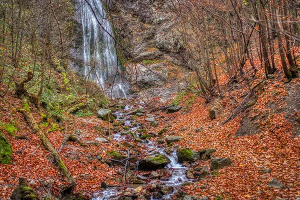 Waterfall with creek with fallen leaves all around — Stock Photo, Image