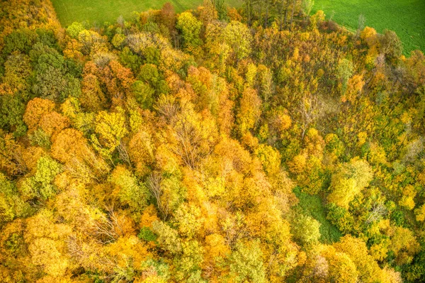 Tiro aéreo de folhas de árvore manchadas em cores de outono — Fotografia de Stock
