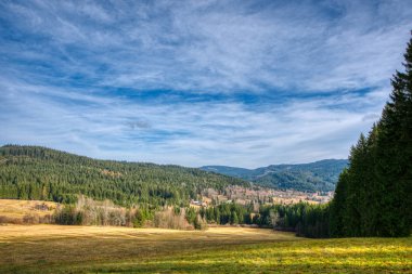 Dağlarda ormanlı çayır, Çek, Beskydy