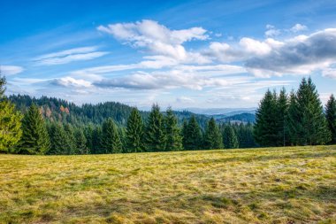 Dağlarda ormanlı çayır, Çek, Beskydy