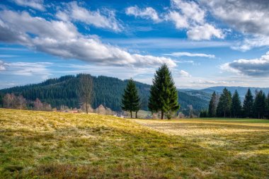 Dağlarda ormanlı çayır sonbaharda dağlarda Çek, Beskydy