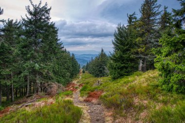 Sonbahar renklerinde dağlarda güzel bir patika