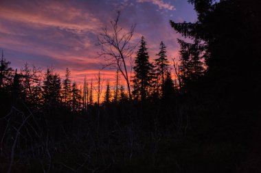Kara ormanlı dağlarda gün doğumunda güzel kırmızı bulutlar