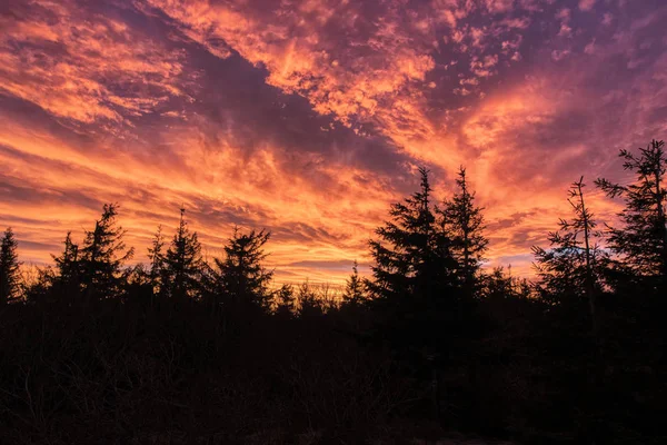 beautiful red clouds at sunrise in mountains with black forest
