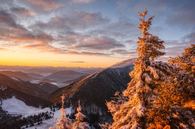 Güzel gökyüzü ile dağlarda gün doğumu, Slovakya Velky Rozsutec
