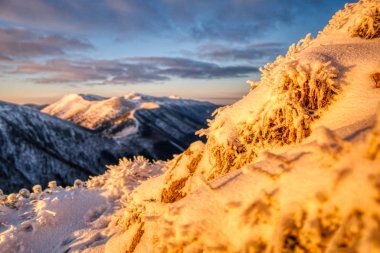 Kar dağlarının üzerinde güzel bir gün doğumu Mala Fatra