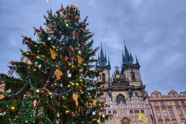 Noel ağacına Prag Eski Şehir Meydanı