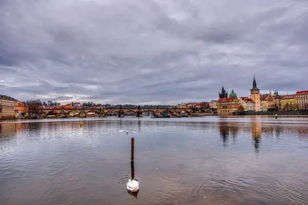 Gyönyörű kilátás nyílik a Károly-hídra hattyúkkal az előtérben, Prága — Stock Fotó