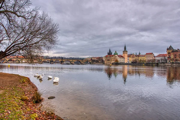 Underbar utsikt över Karlsbron med svanar i förgrunden, Prag — Stockfoto