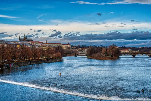Вид на річку Влтаву з мостом Карла і кафедральним собором у Празі. — стокове фото