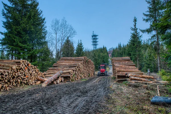 Vedförvaring i skogen med transportfärdig teknik — Stockfoto