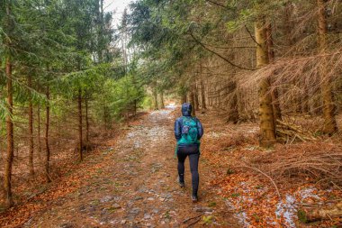 Yürüyüşçü kışın dağlarda yol boyunca yürür