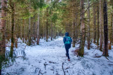 Yürüyüşçü kışın dağlarda yol boyunca yürür