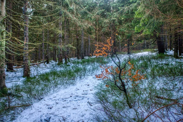 Wandelpad in de bergen bedekt met een beetje sneeuw — Stockfoto