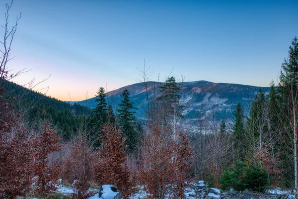 Ruined snowy hills in the mountains with leaves still on the trees — Stock Photo, Image