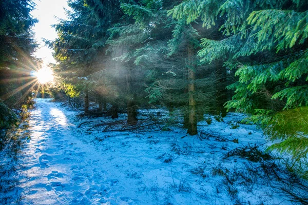 Wandelpad besneeuwd en prachtig verlicht door de zon in de bergen — Stockfoto