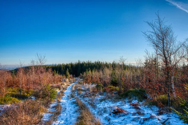 Wandelpad besneeuwd en prachtig verlicht door de zon in de bergen — Stockfoto