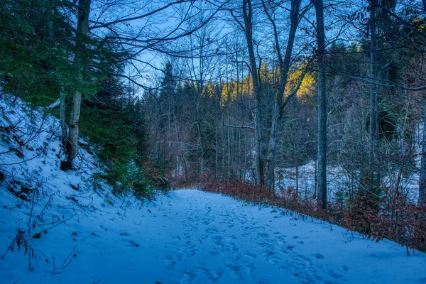 Pad in de bergen liep uit door toeristen bedekt met sneeuw — Stockfoto