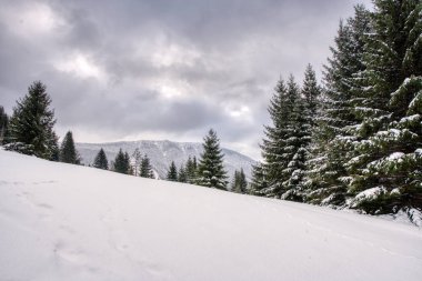 Güneş ışığıyla parlayan görkemli beyaz şeritler. Resimli ve muhteşem kış manzarası. Slovakya mala fatra