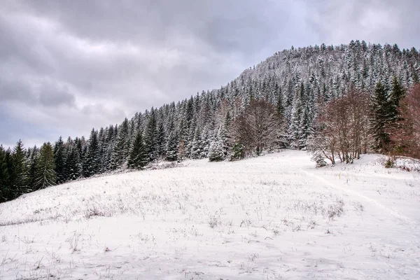 Зимовий пейзаж у долині гір з красивим потоком і снігом навколо, Словаччина Мала Фатра, Яносик Холс. — стокове фото