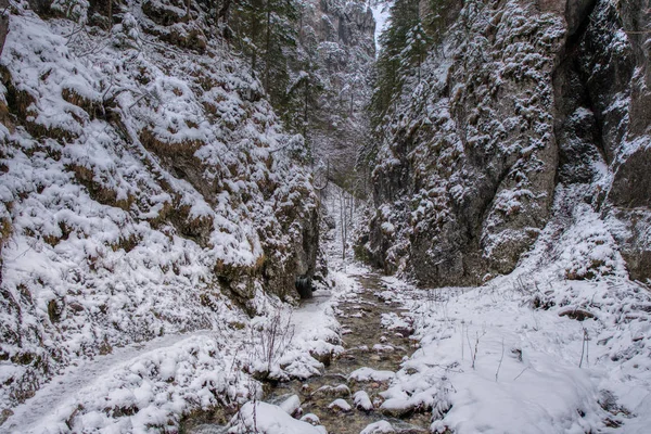 Paisaje invernal en montañas con ríos y árboles bellamente nevados, Eslovaquia Mala Fatra, hoyo Janosikove — Foto de Stock