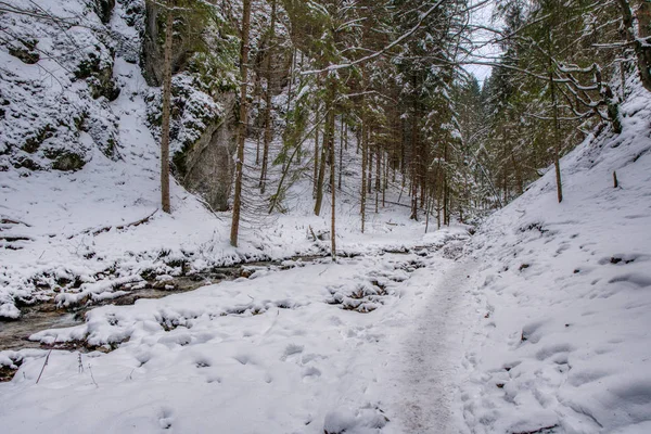 Paisaje de invierno con arroyo y pasarela en valle en las montañas — Foto de Stock