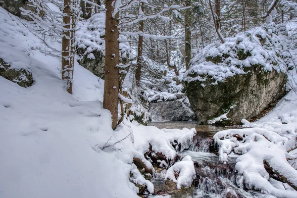 Winter landscape in mountains with river and beautifully snowy trees, Slovakia Mala Fatra, Janosikove hole — Stock Photo, Image