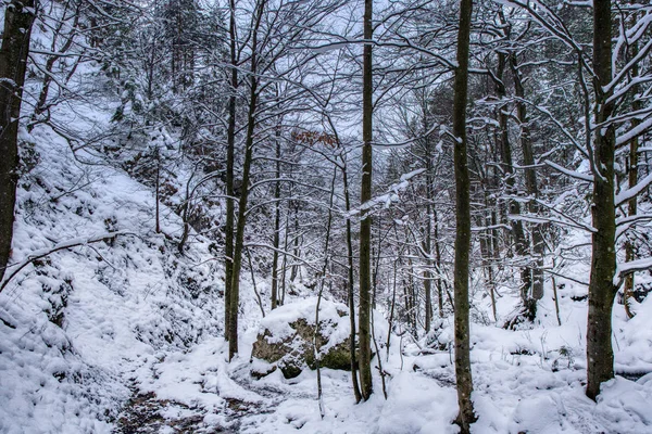 Paisaje invernal en el valle de las montañas con un hermoso arroyo y nieve alrededor, Slovakia Mala Fatra, Janosik Holes — Foto de Stock