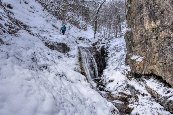 Зимний пейзаж в долине гор с красивым ручьем и снегом вокруг туриста, Словакия Мала Фатра, Яносик Дыры — стоковое фото