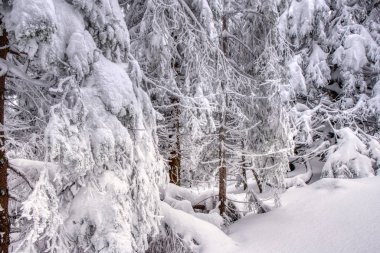 Dağlardaki güzel kış manzarası, Slovakya mala fatra