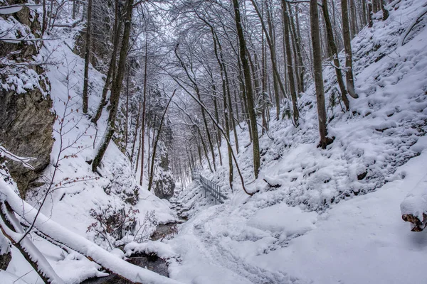 Paisaje invernal en el valle de las montañas con un hermoso arroyo y nieve alrededor, Slovakia Mala Fatra, Janosik Holes — Foto de Stock